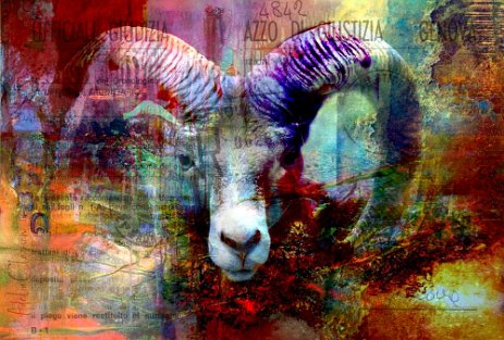 GoatLookingAtMe_Projet5.jpg “Exploring various painting technics, I use my knowledge of photography to create original paintings mixed with photography – New Pop Realism.