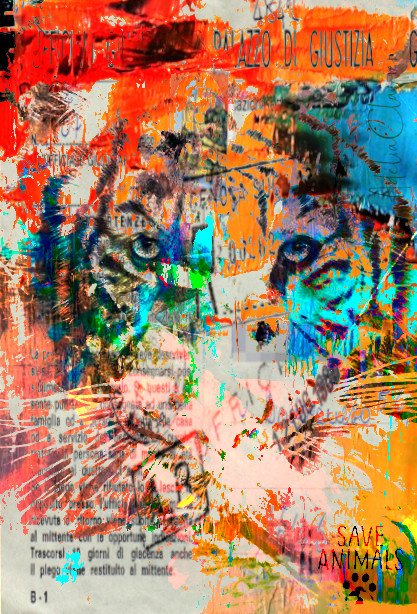 Tiger_Eyes_Projet2.jpg “Exploring various painting technics, I use my knowledge of photography to create original paintings mixed with photography – New Pop Realism.