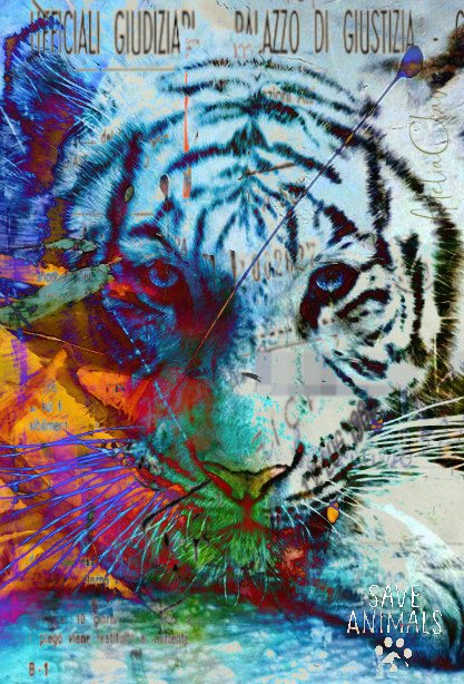 Tiger_Eyes_Projet4.jpg “Exploring various painting technics, I use my knowledge of photography to create original paintings mixed with photography – New Pop Realism.
