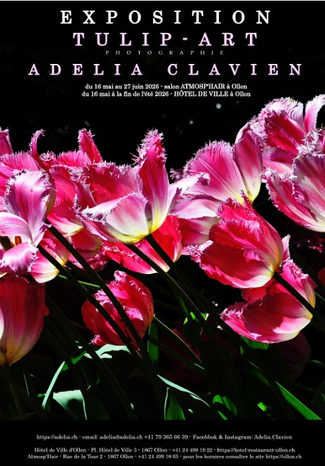 AfficheTulipes_Ollon2026 OLLON - Exposition “Tulip-Art » avec les photographies de Adelia au Salon Atmosp'Hair & Hôtel de Ville de Ollon (VD) - Swiss – 16 mai à fin été 2026