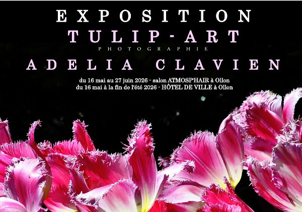 EXHIBITIONS